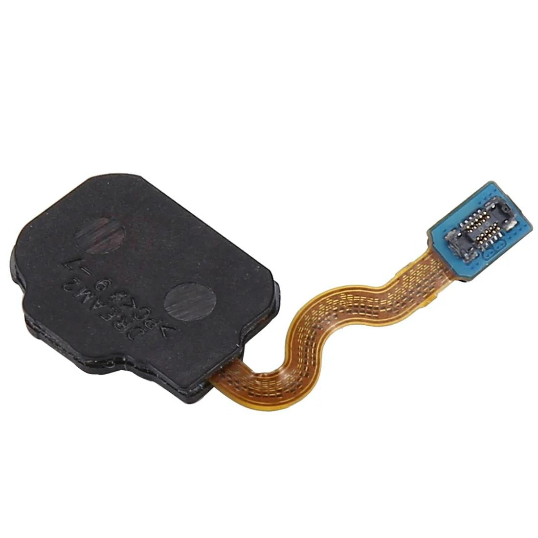 Galaxy S8/S8+ Fingerprint Sensor Flex Cable Replacement